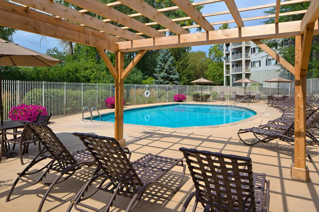 Sunny outdoor pool with lounge chairs under a wooden pergola, bordered by a fence and trees.